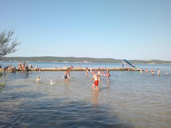 Apartmani Marija Pašman Camera foto