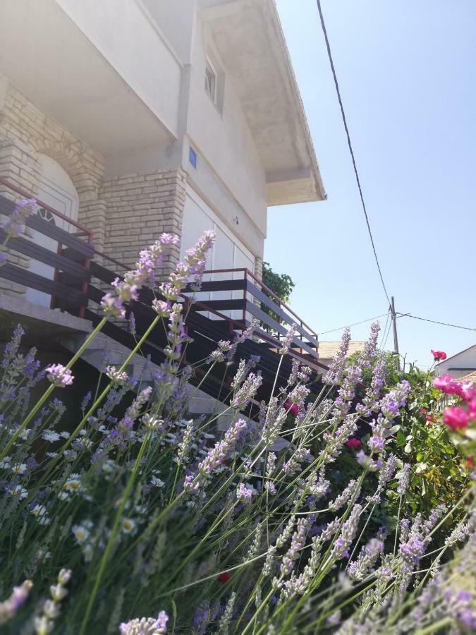 Apartmani Marija Pašman Esterno foto